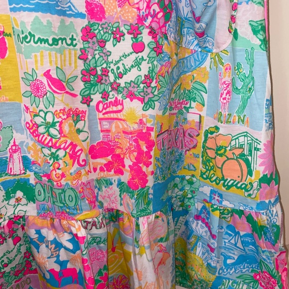 Kristen swing dress in Lilly State of Mind - Picture 3 of 5